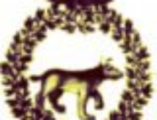 Parménides II –  Compte-rendu des interventions