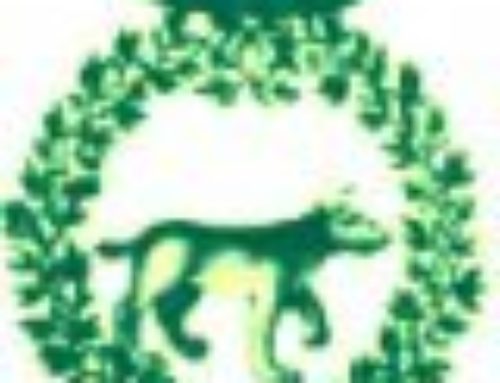 Parménides II – Compte-rendu « Conclusions et recommandations »