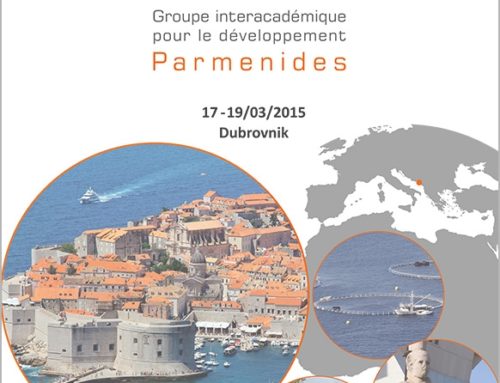 Les actes de Parménides VII