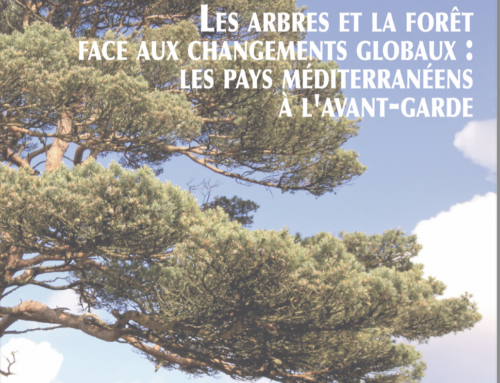 Les actes de Parménides X