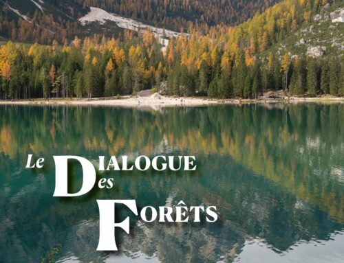 Publication du Dialogue des Forêts